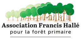 Association Francis Hallé pour la forêt primaire