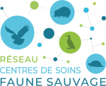 Réseau Centres de Soin Faune Sauvage